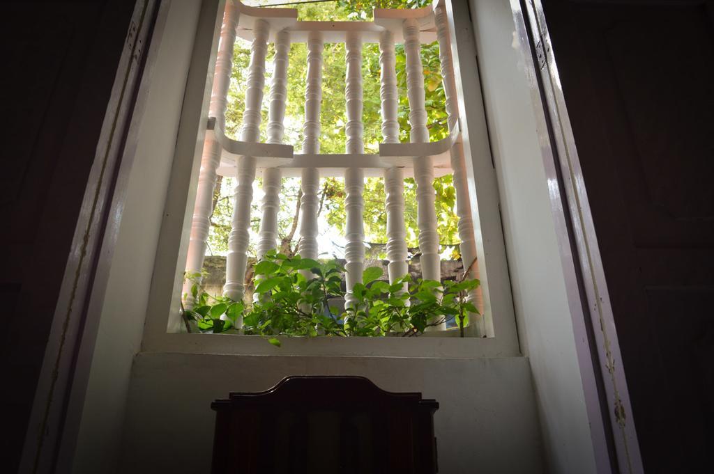 Casa De Santo Domingo Vidal Hostel Cartagena Εξωτερικό φωτογραφία